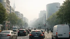 Feinstaub und Gehirn: warum PM2,5 mehr als nur die Lunge belastet